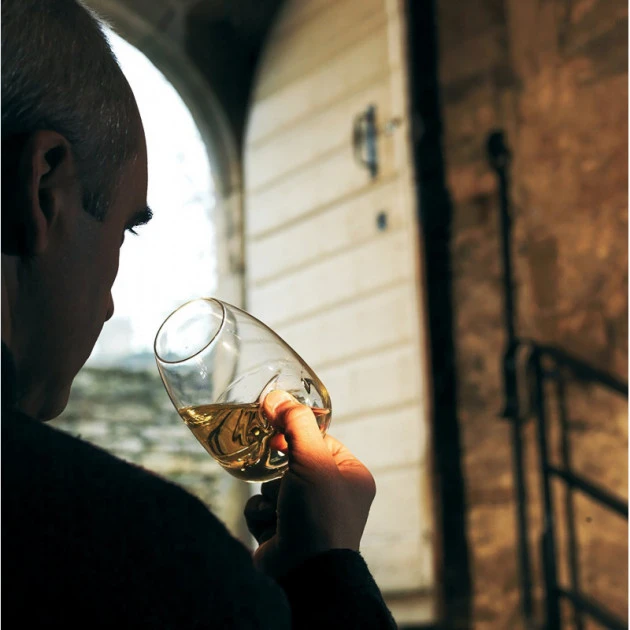 Offres ???? Verre Le Taster 38 cl Les Impitoyables Peugeot ???? 3 Offres ???? Verre Le Taster 38 cl Les Impitoyables Peugeot ???? – Image 3